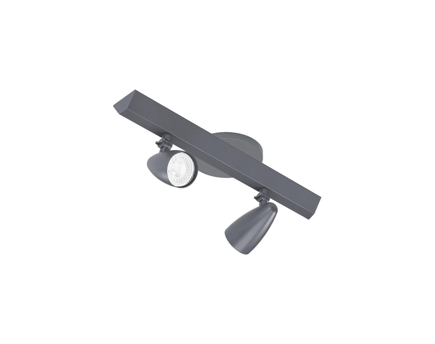 RI-P313/2L-C