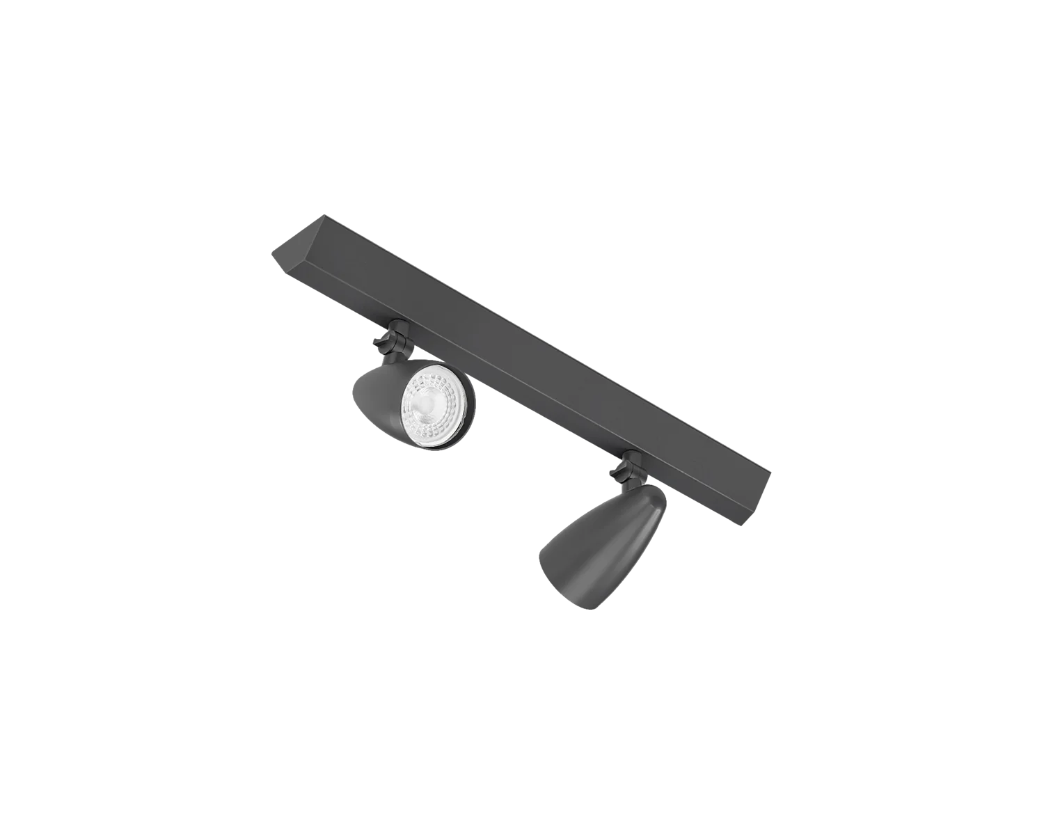 RI-P313/2L
