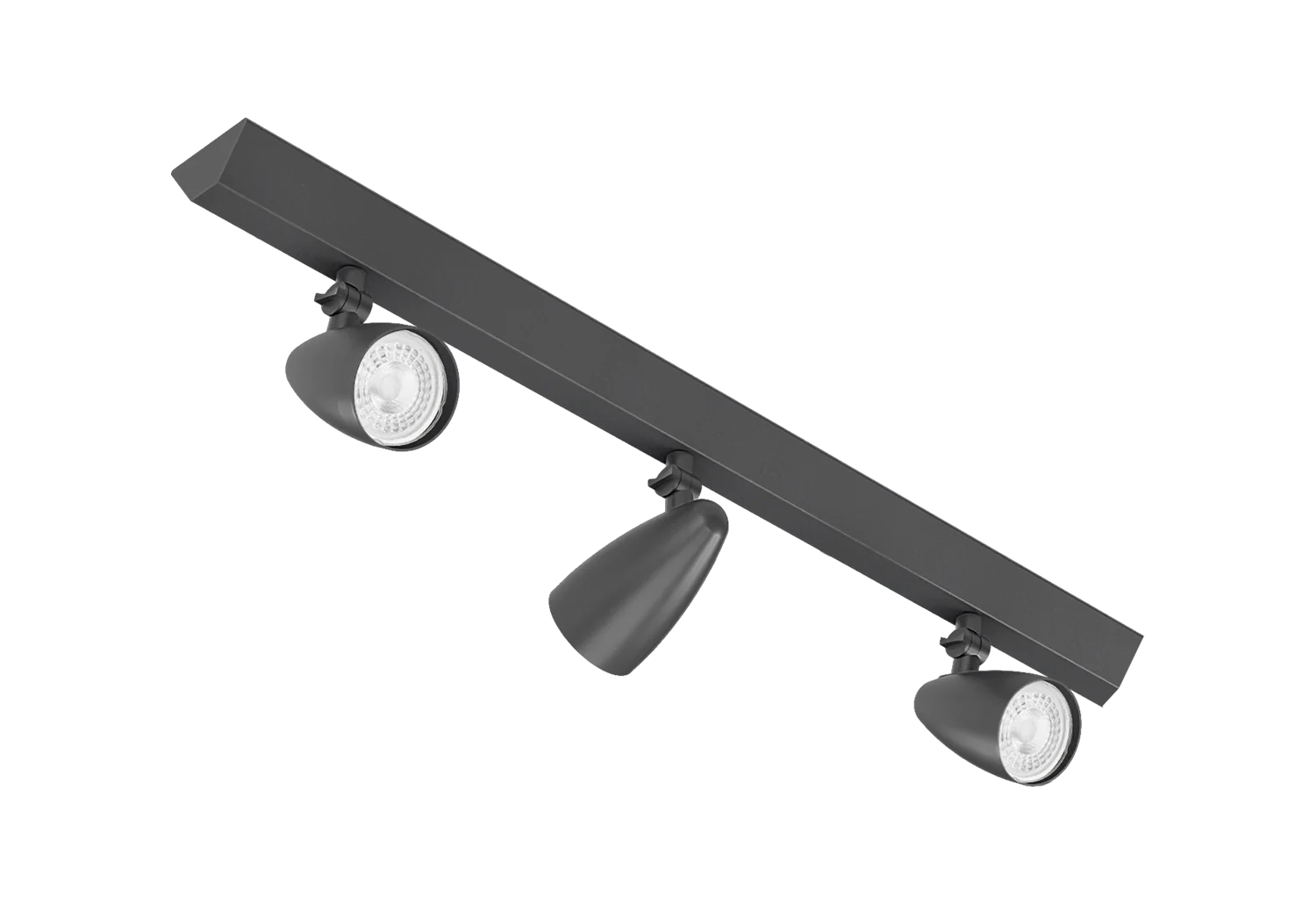 RI-P313/3L