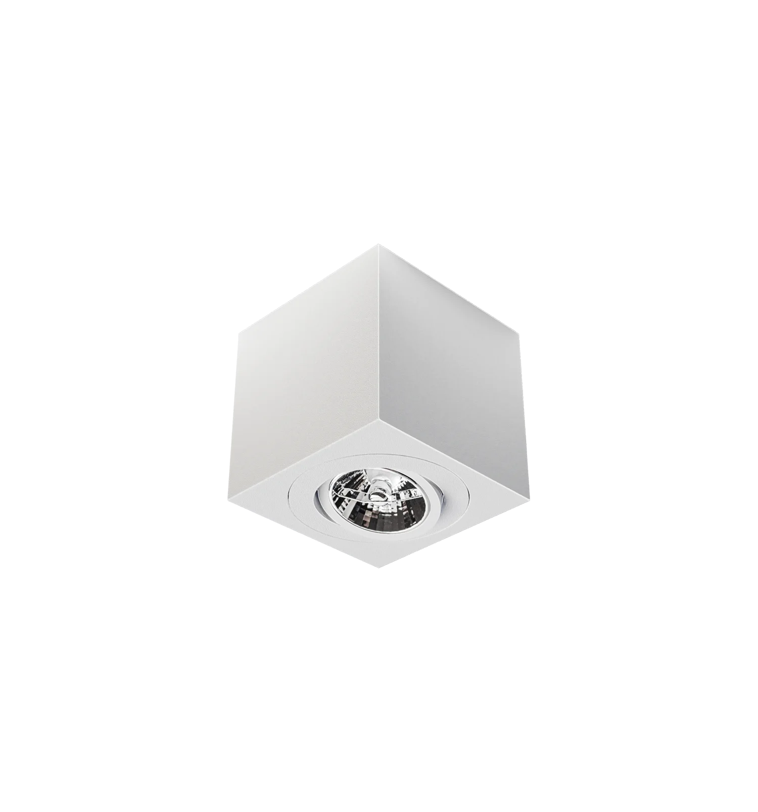 RI-S2204/1