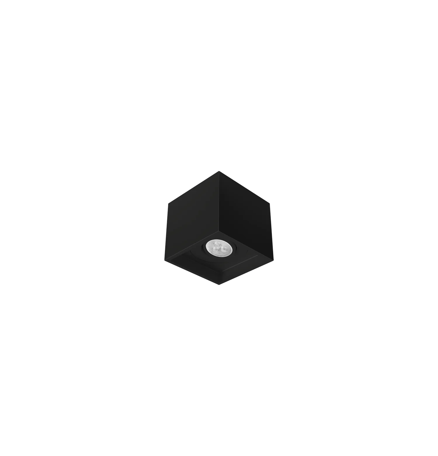 Thumb RI-S2212/1