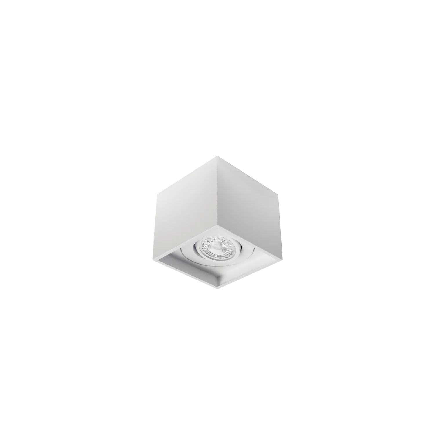 RI-S2213/1