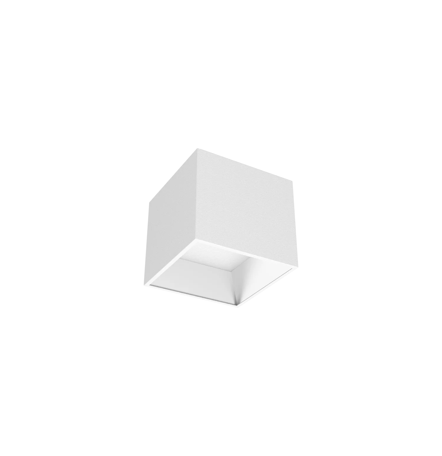 RAS-24220