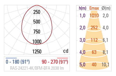Curva Fotométrica RAS-24221
