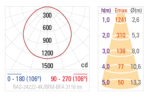 Curva Fotométrica RAS-24222