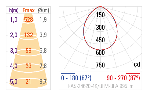 Curva Fotométrica RAS-24620
