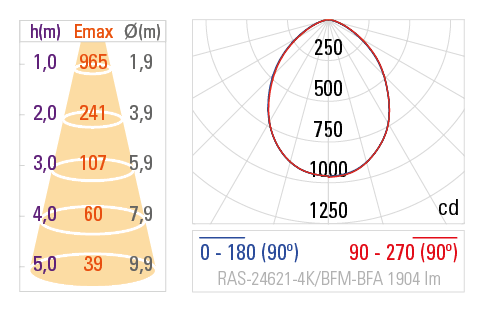 Curva Fotométrica RAS-24621