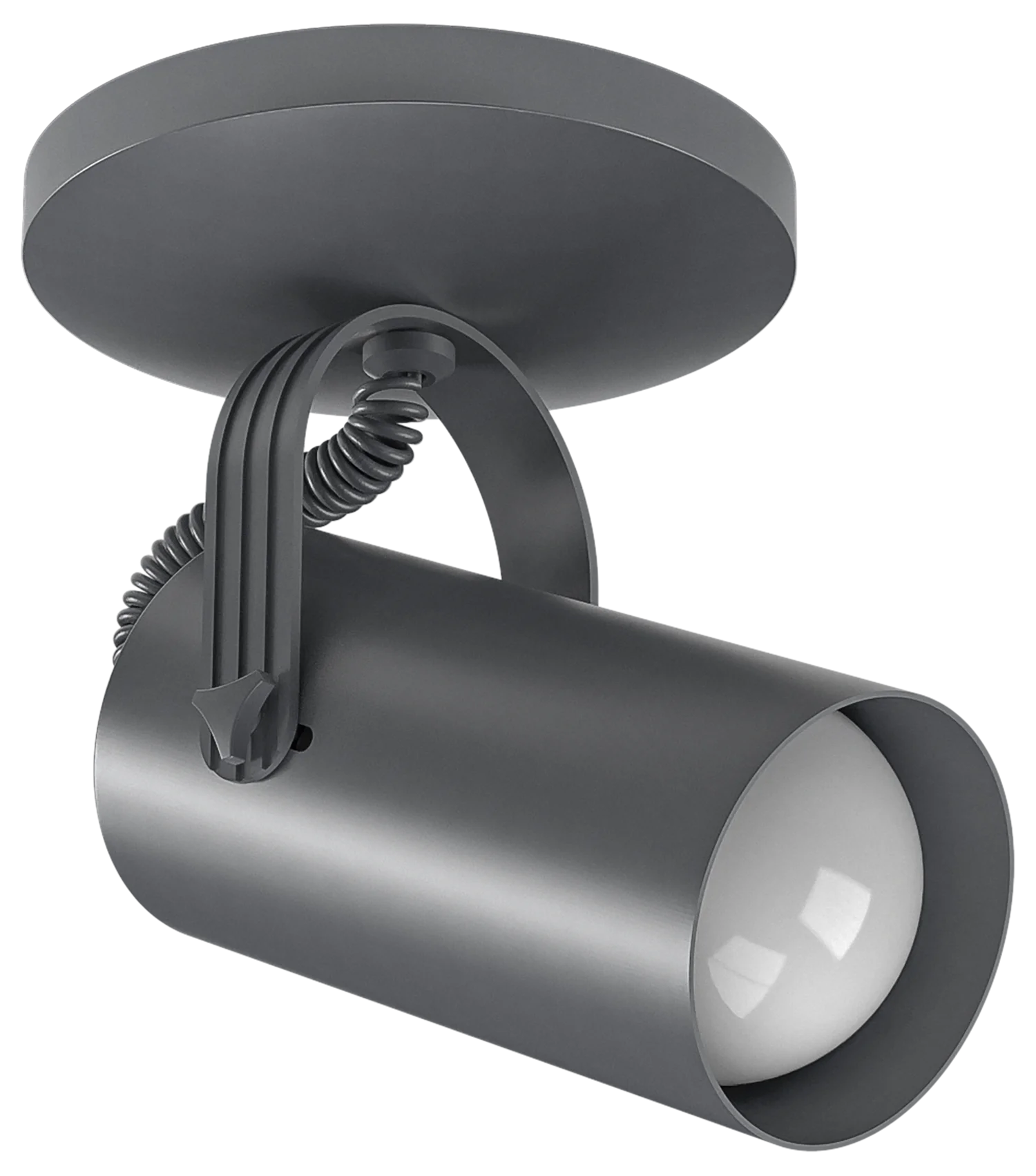 Thumb RI-P301