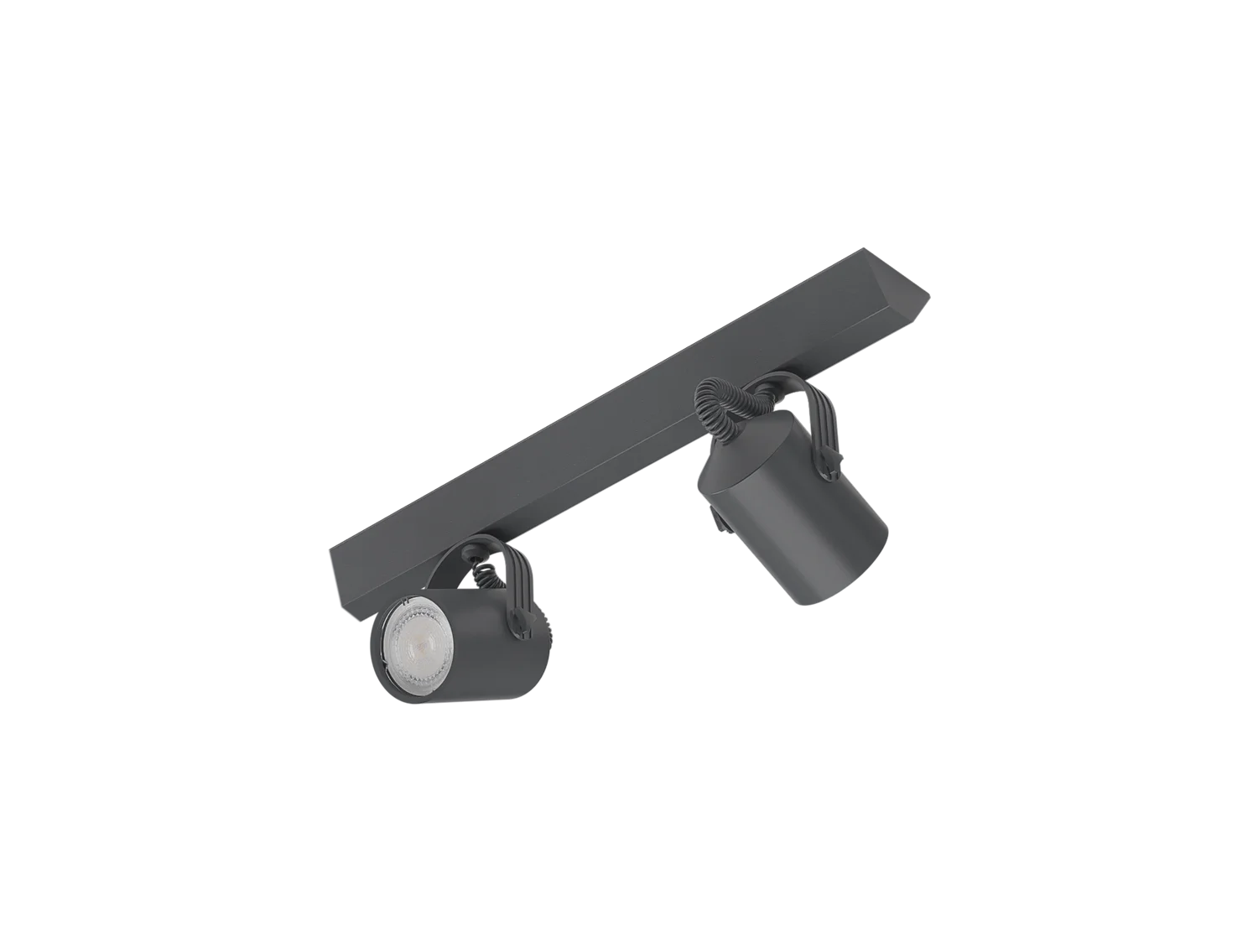 RI-P303/2L