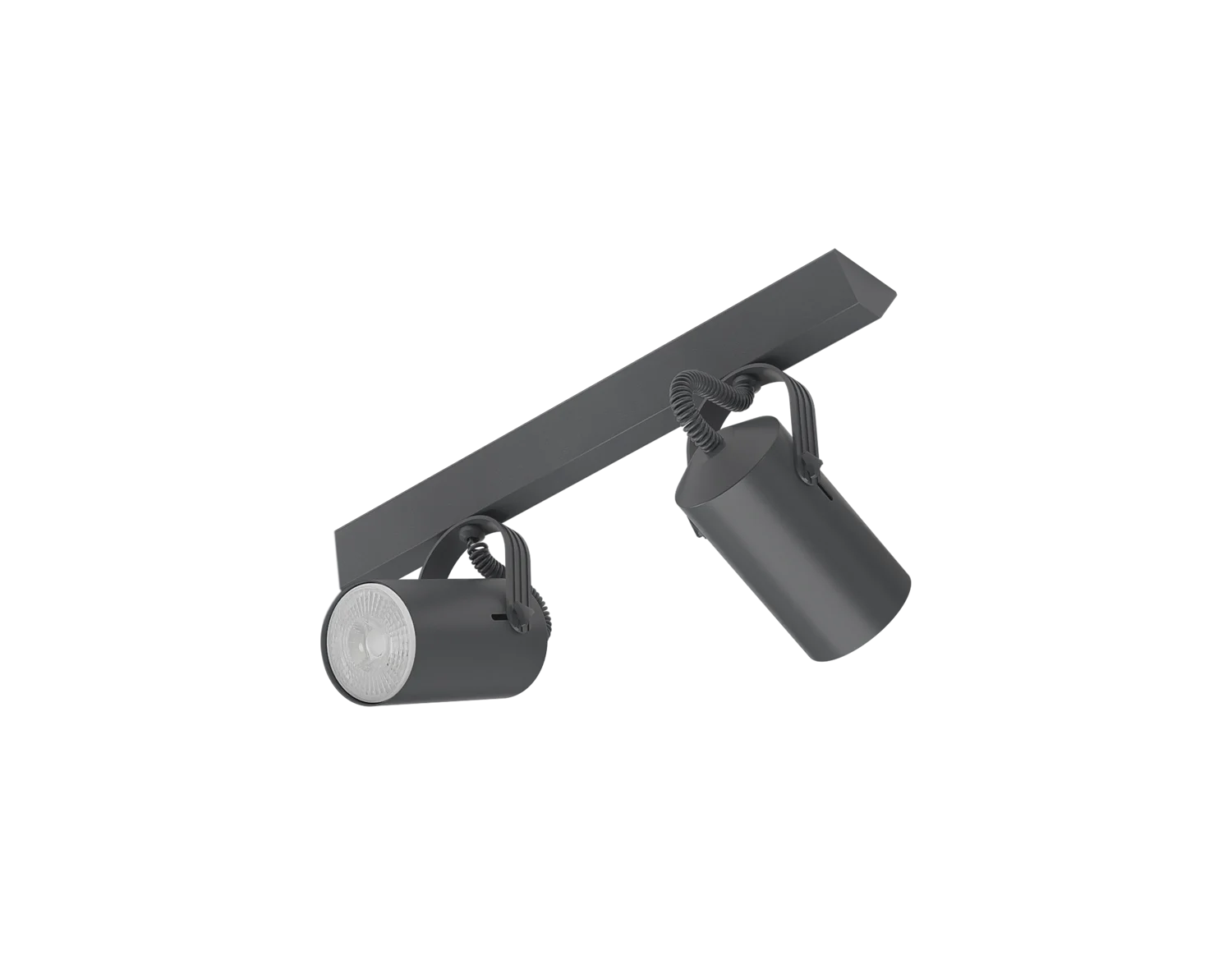 RI-P306/2L